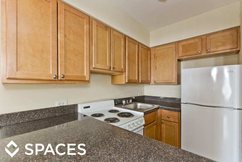 1220 N LaSalle Dr - Photo 3 of 48