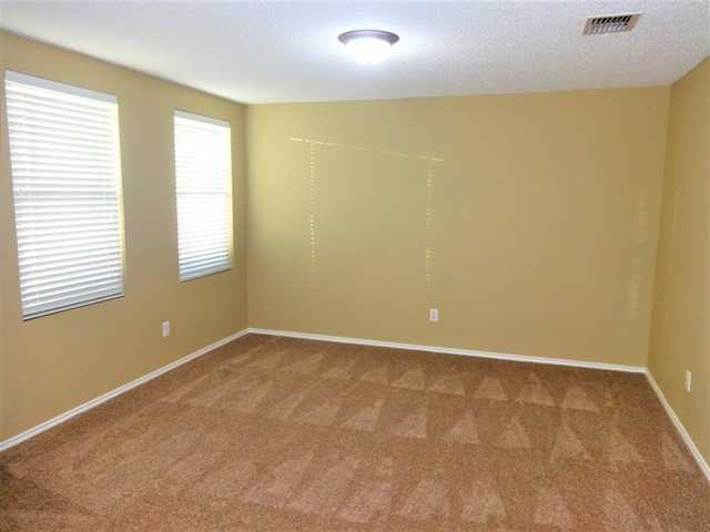 1035 April Showers Ln - Photo 2 of 20