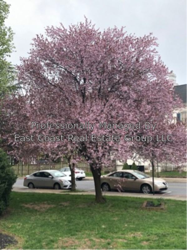 460 N Potomac Commerical - Photo 2 of 6