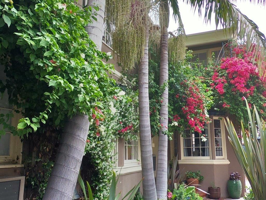 N. Sierra Bonita Ave. & Oakwood Ave. - Photo 3 of 33