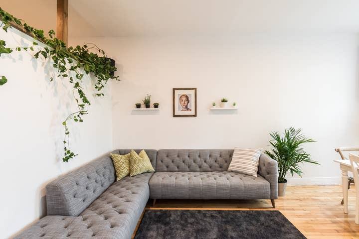 3505 Boulevard Saint-Laurent - Photo 3 of 18