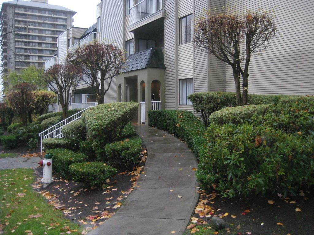 Woodway Apartments in Brentwood, Burnaby, BC V5B 4T6 Zumper