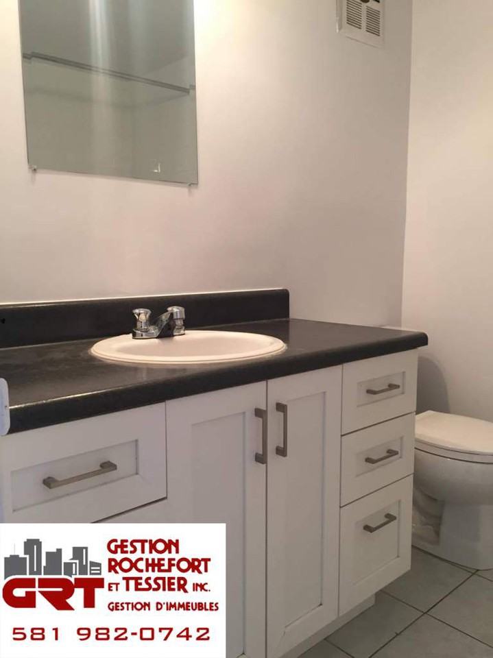 784 Rue de Rougemont - Photo 3 of 6