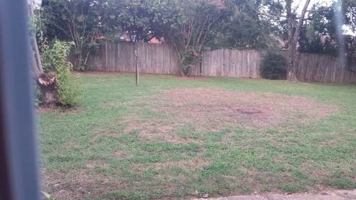 1404 Kingswood St - Photo 2 of 2