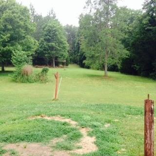 1114 Austin Raymer Rd - Photo 3 of 13