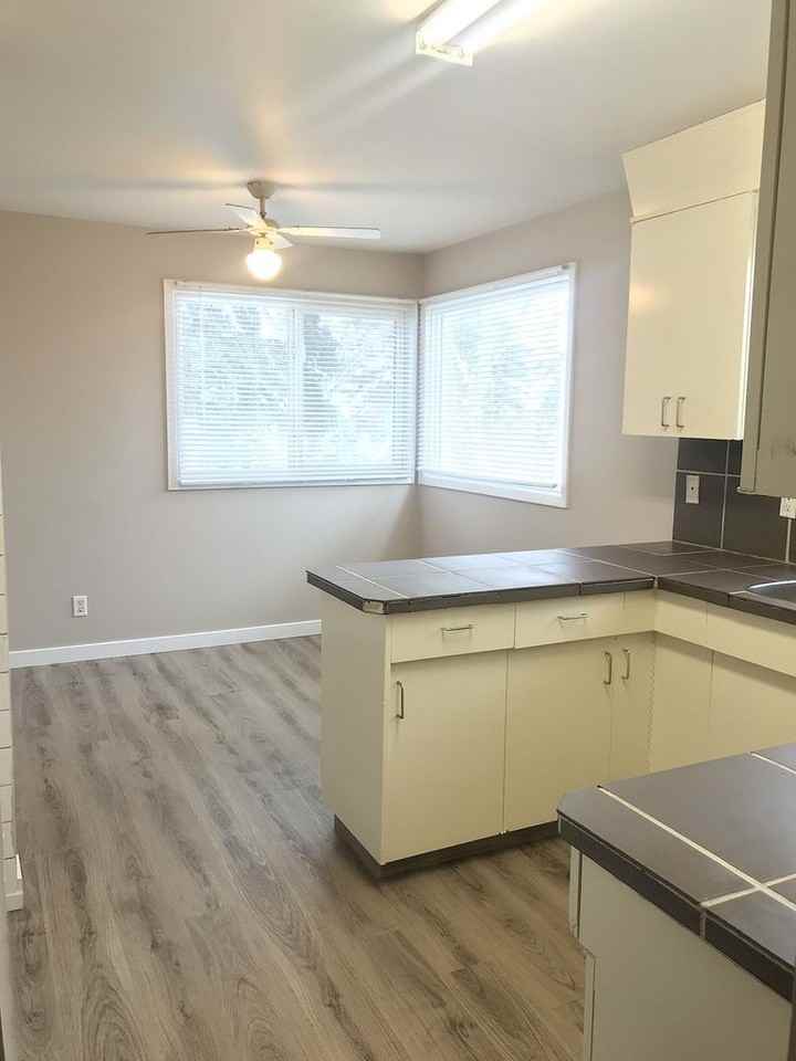 Newly renovated 5 Bedroom house steps from Stadium! 11338 - Photo 3 of 19