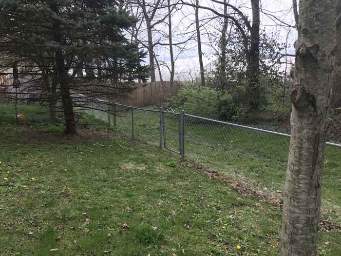 7635 Orchard Village Drive - Photo 3 of 25