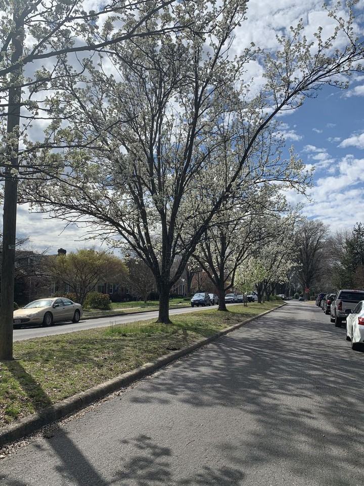 1724 Wilmington Ave - Photo 2 of 37