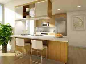 300 North End Ave #4L