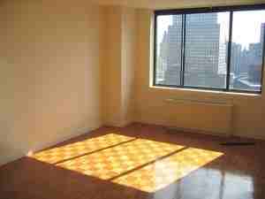 450 West End Ave #11G