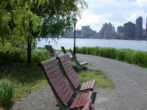 4720 Center Blvd #221 - Photo 2 of 8