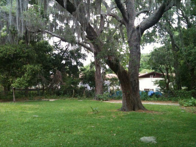 535 Pasadena Ave - Photo 2 of 12