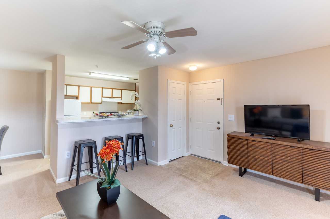 Somerset Pointe - Photo 5 of 28