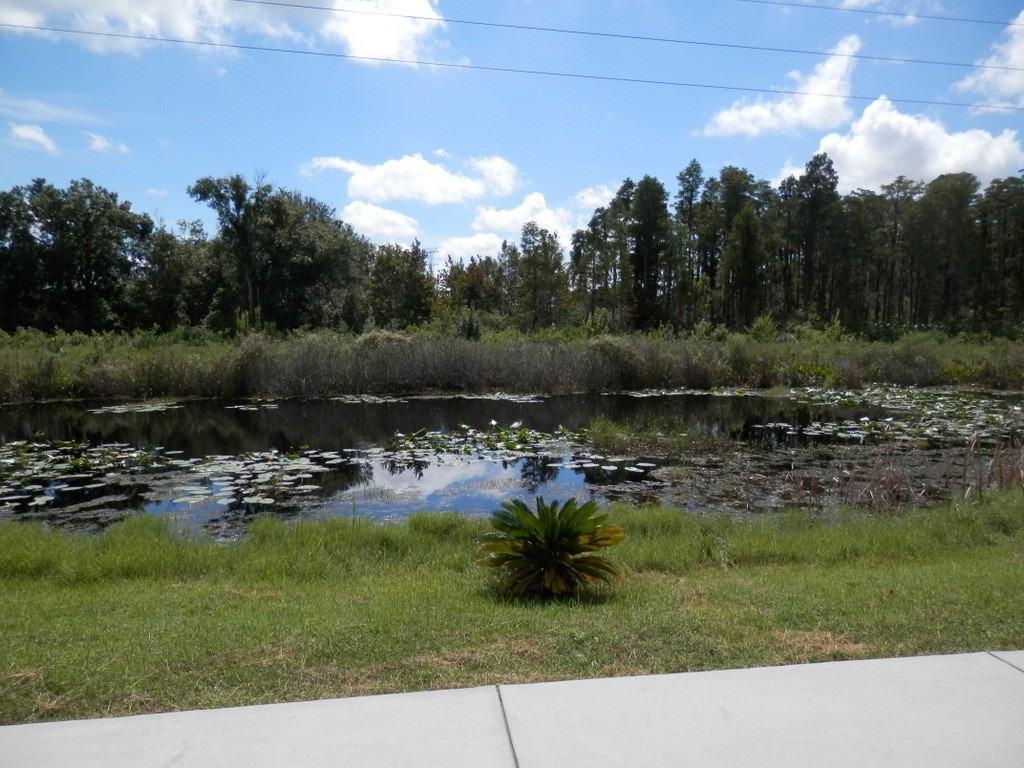 2508 Palesta Dr - Photo 3 of 19