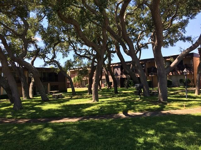 406 Marshall Dr #8 - Photo 3 of 29