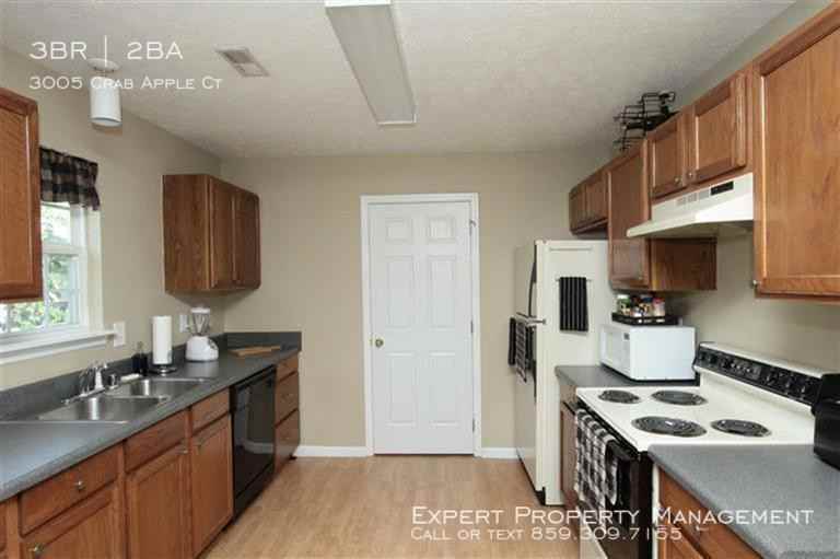 3005 Crab Apple Ct - Photo 3 of 16