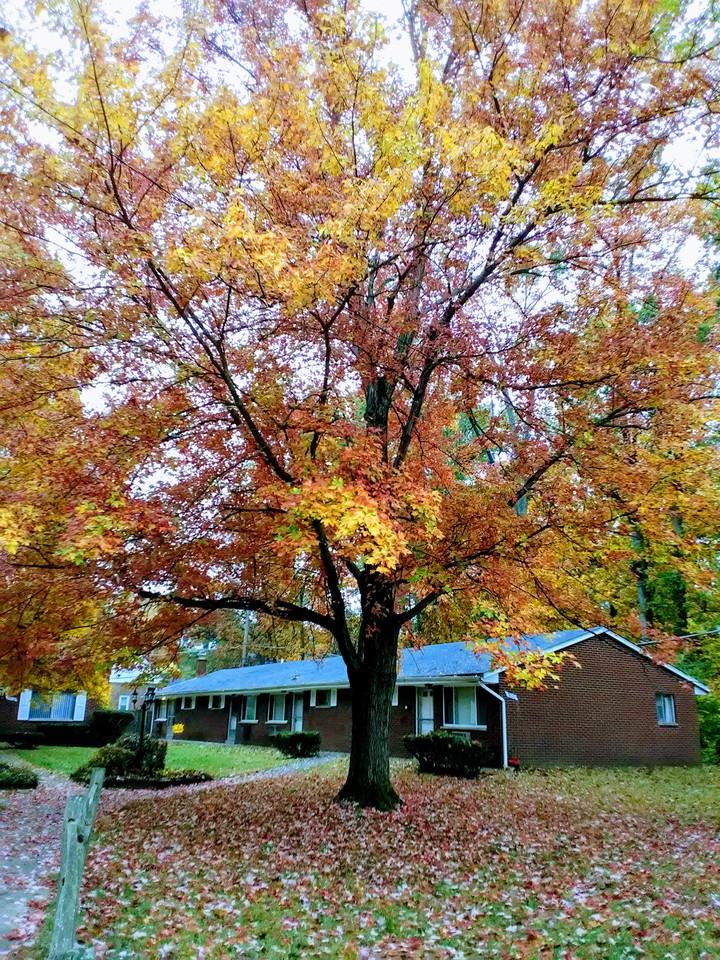 Eden Woods - Photo 3 of 7