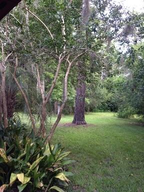 2612 SW 56th Ave - Photo 2 of 42