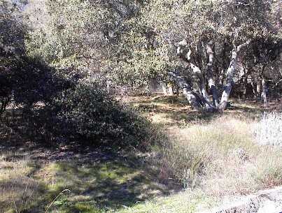 816 Maher Rd - Photo 2 of 9