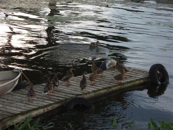 630 S Lakeside Dr - Photo 3 of 14