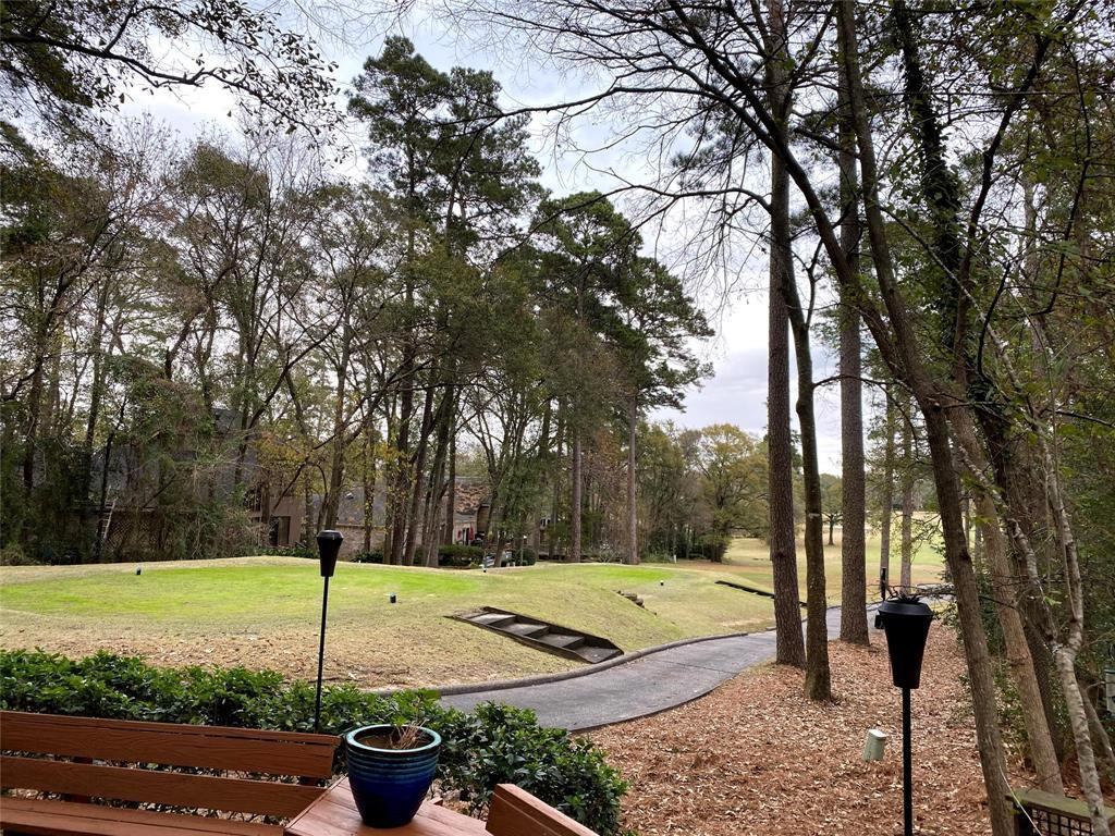 113 Lazy Springs Drive - Photo 2 of 49