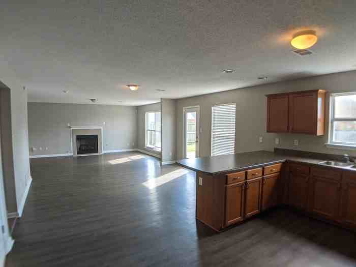 5039 Delaney Valley Drive - Photo 3 of 15