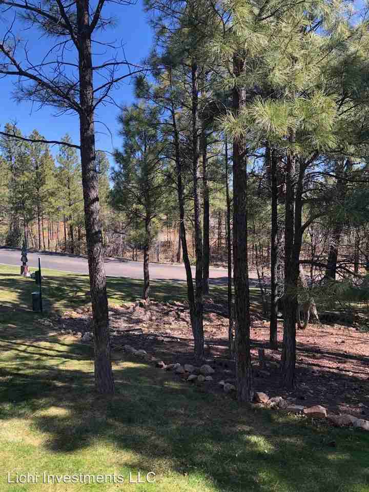 Lichi Investment LLC - Photo 3 of 8