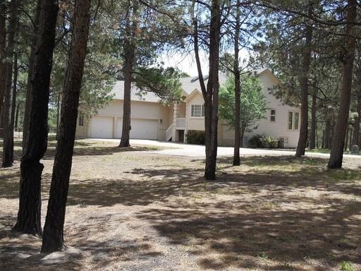 11190 Salt Creek Pl - Photo 2 of 20