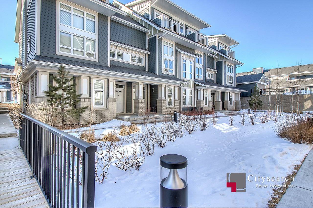 251 Silverado Plains Park Sw - Photo 3 of 21