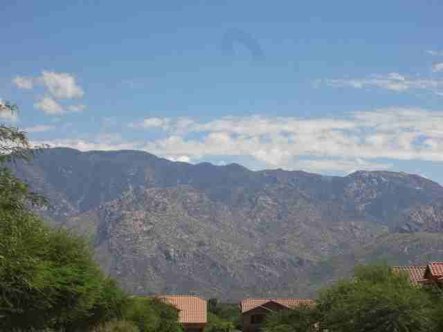 712 W Tremolo Ln - Photo 3 of 32