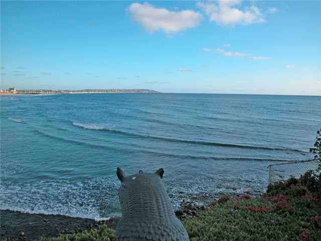 403 Sea Ridge Dr - Photo 3 of 9