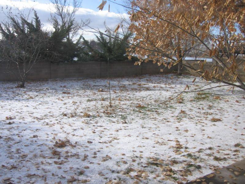 9020 Freedom Way Ne - Photo 3 of 7