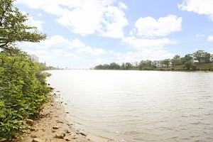 Edgewater Gardens - Photo 2 of 6