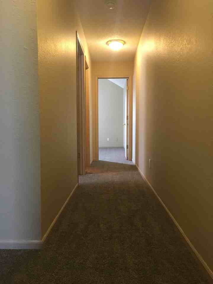 1101 Garden Dr - Photo 2 of 10