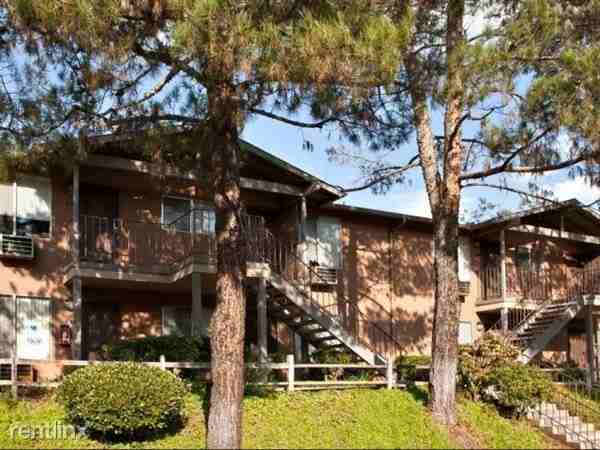 Meadow Woods at Alpine Apartments - Photo 3 of 14