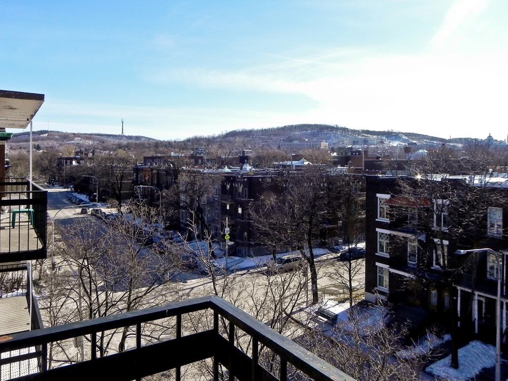1295 Avenue Lajoie #103