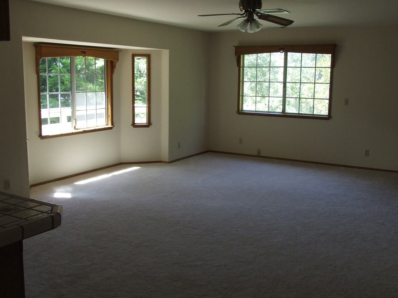 24466 Horst Dr - Photo 3 of 12