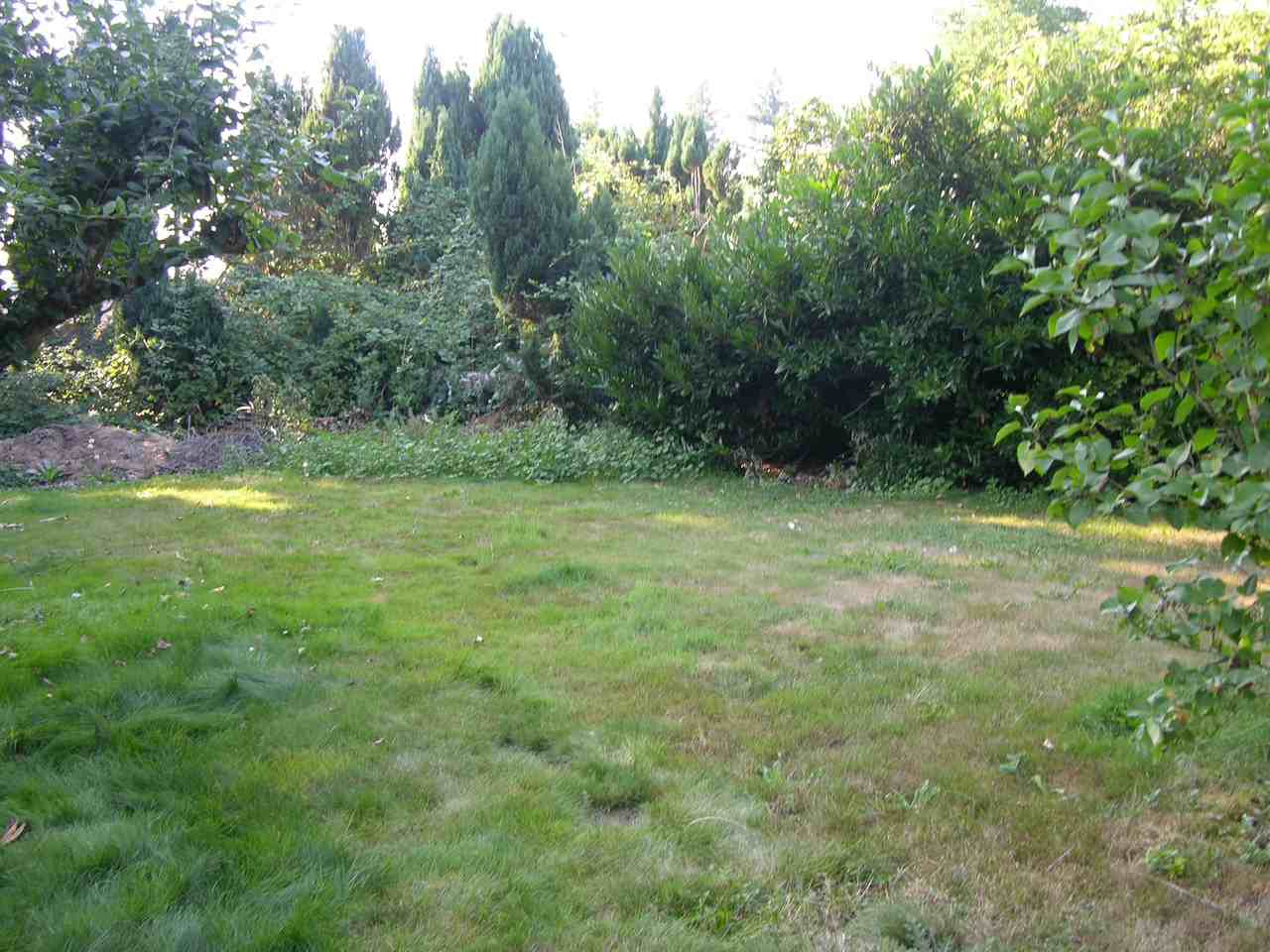 3211 Griffin Ave - Photo 3 of 10