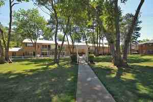 The Pines - Photo 3 of 16