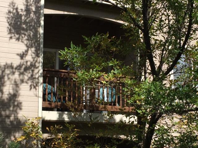 7375 S Alkire St - Photo 3 of 25