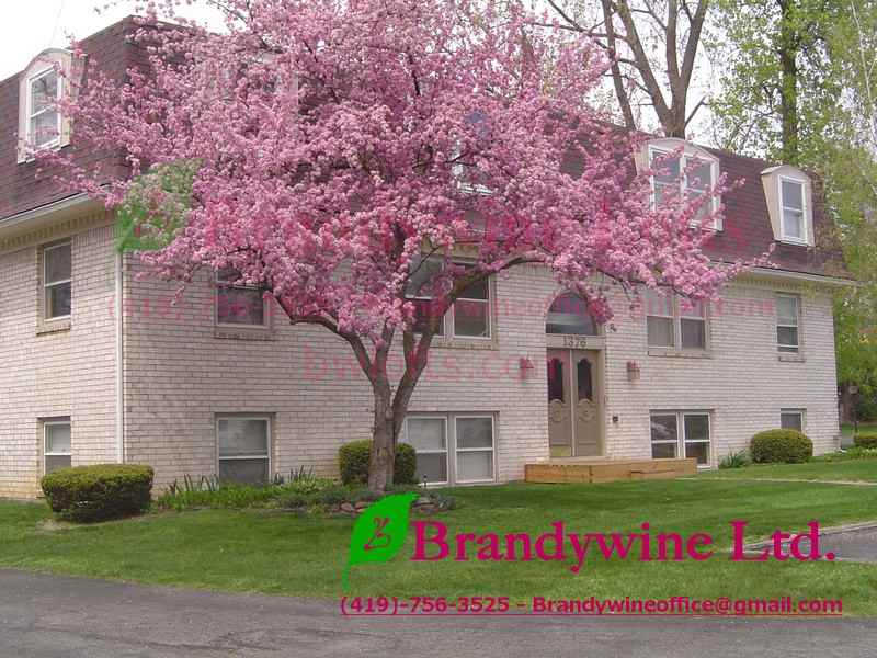 1386 Robinhood Lane - Photo 2 of 3