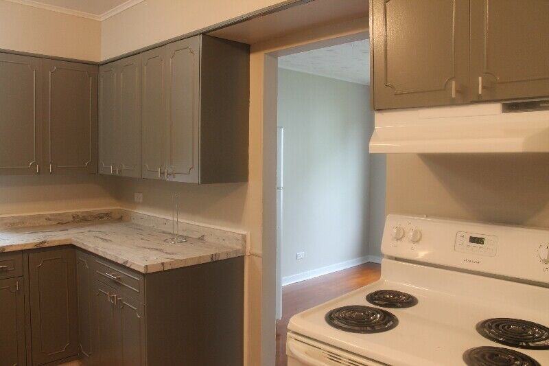 19 Guy St - Photo 3 of 11