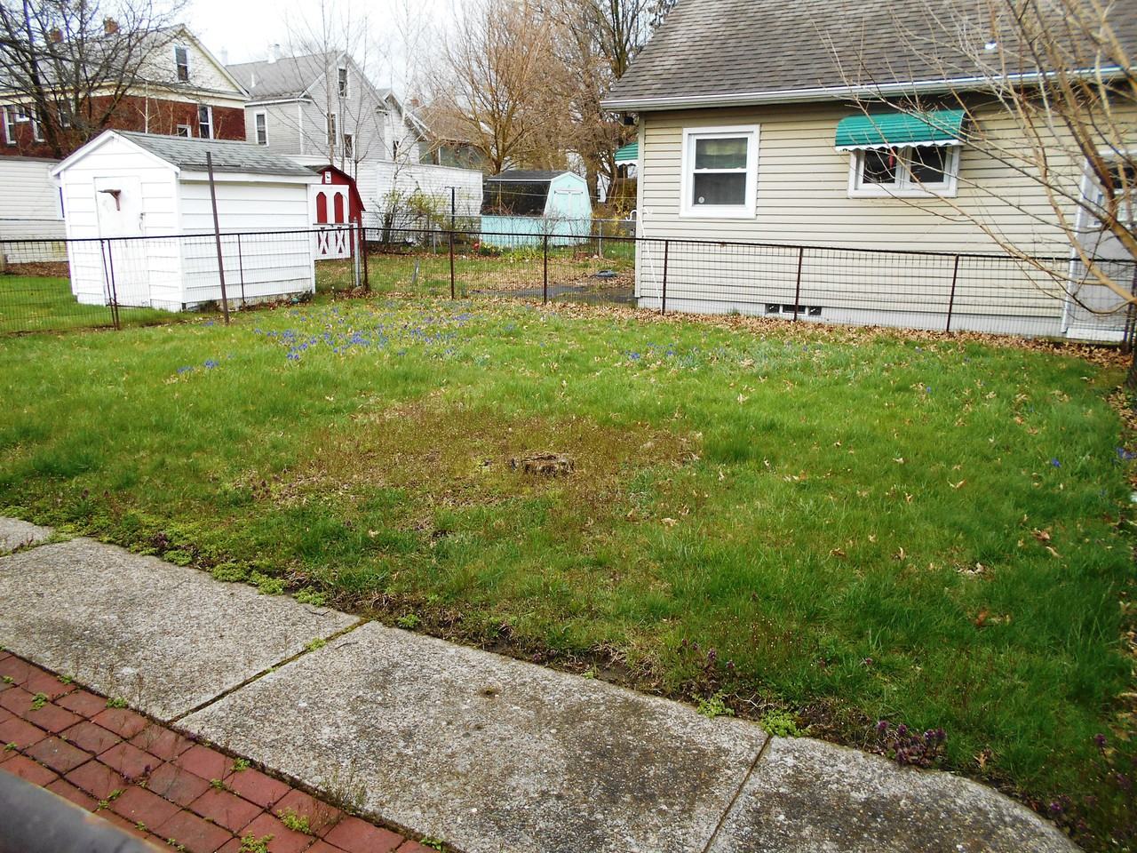 658 Payne Avenue - Photo 2 of 13