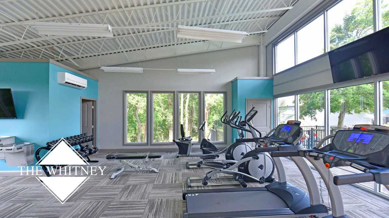 The Whitney - Photo 5 of 21