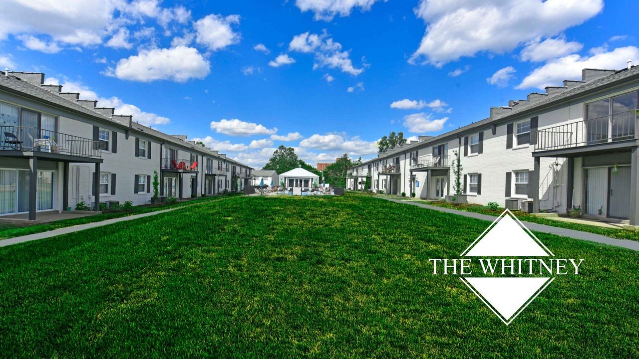 The Whitney - Photo 6 of 21