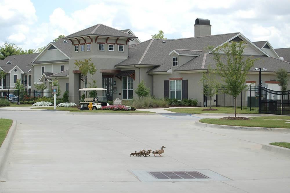 RiverScape Apartment Homes - Photo 5 of 20