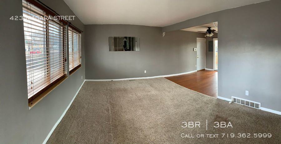 423 Niagara Street - Photo 3 of 15