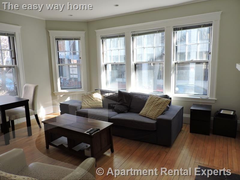 11 Story St 2, Cambridge, MA 02138 1 Bedroom Apartment for Rent