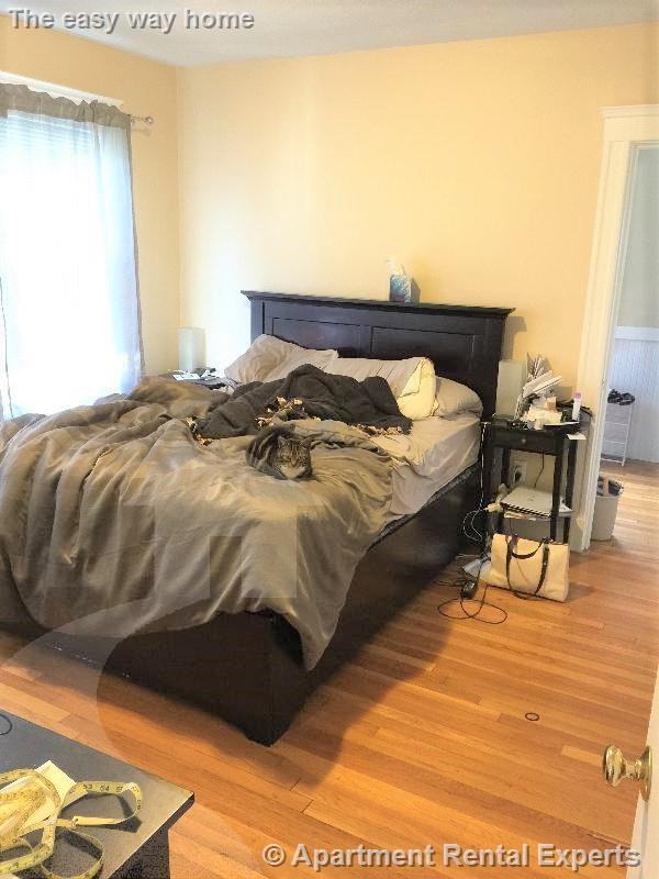 9 Arlington St #3 - Photo 5 of 11