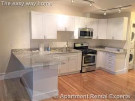 231 Norfolk St #3 - Photo 1 of 1